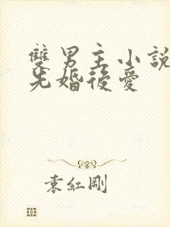 双男主小说推荐先婚后爱