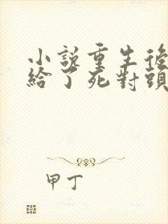 小说重生后我嫁给了死对头完整版封面