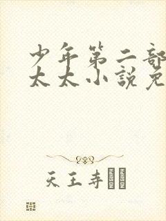 少年第二部房东太太小说免费阅读封面