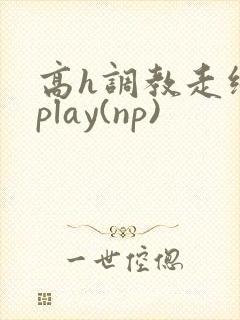 高h调教走绳 play(np)