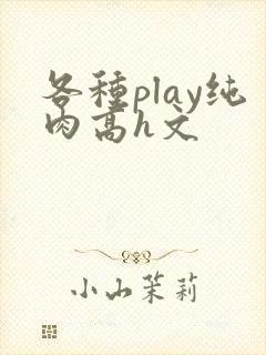 各种play纯肉高h文