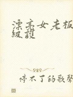 漂亮女老板3三级护