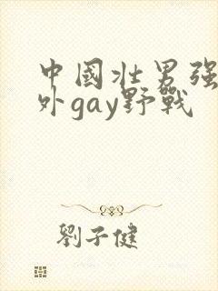 中国壮男强迫野外gay野战封面