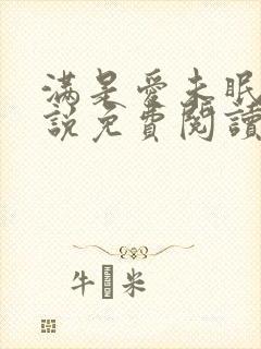 满是爱未眠2小说免费阅读全文封面