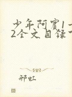 少年阿宾1一72全文目录下载