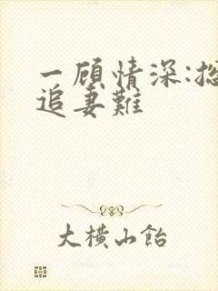 一顾情深:总裁追妻难