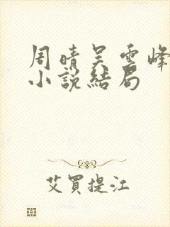 周晴吴云峰李磊小说结局封面