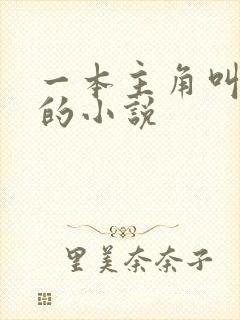 一本主角叫林萧的小说