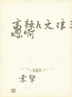 高辣h文浪荡嗯嗯啊