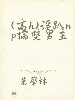 (高h)淫趴np伦双男主