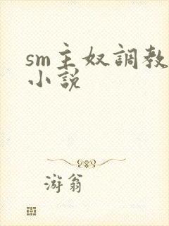 sm主奴调教文小说封面