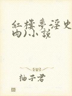 红楼梦淫史(全肉)小说