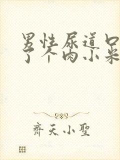 男性尿道口上长了个肉小米粒怎么回事