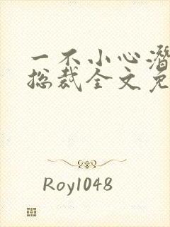 一不小心潜了个总裁全文免费阅读