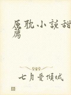 原耽小说甜文推荐