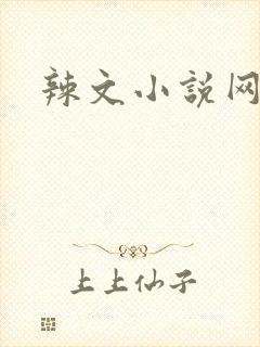 辣文小说网在线封面