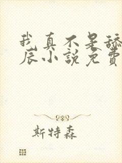 我真不是舔狗叶辰小说免费阅读