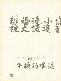 离婚后,小作精被大佬追着求负责免费阅读