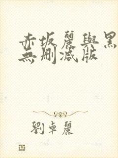 赤坂丽与黑人的无删减版封面