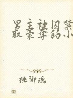 男主被囚禁被强取豪夺的小说