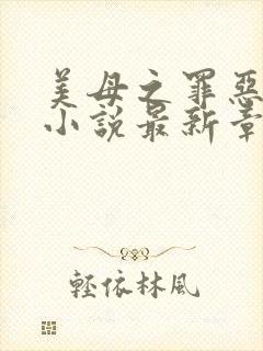 美母之罪恶天使小说最新章节阅读