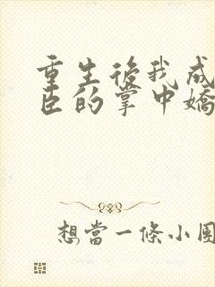 重生后我成了权臣的掌中娇看