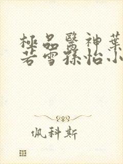 极品医神叶辰夏若雪孙怡小说封面