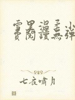 雪里温柔小说免费阅读无弹窗全文