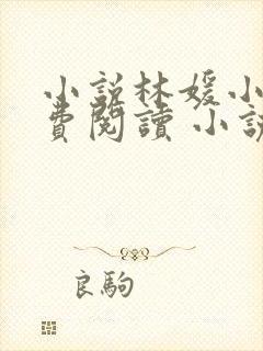 小说林媛小正免费阅读 小说