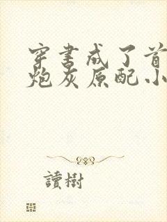 穿书成了首辅的炮灰原配小说