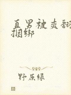 直男被爽翻呻淫捆绑封面