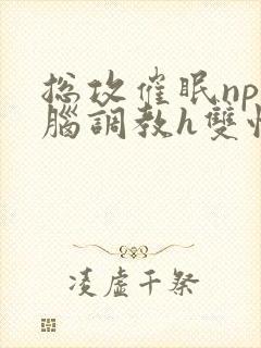 总攻催眠np洗脑调教h双性