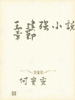 王建强小说最新章节