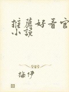 推荐好看官场的小说封面