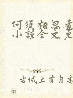 何须相思煮余年小说全文免费阅读封面