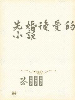 先婚后爱的甜宠小说