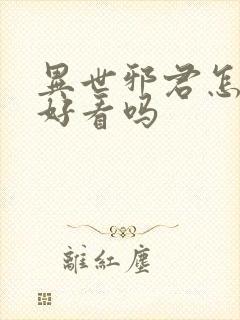 异世邪君怎么样好看吗封面