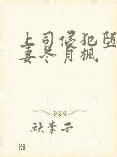 上司侵犯堕落人妻冬月枫封面