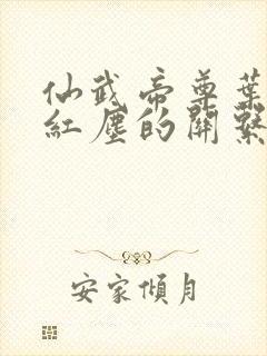 仙武帝尊叶辰和红尘的关系