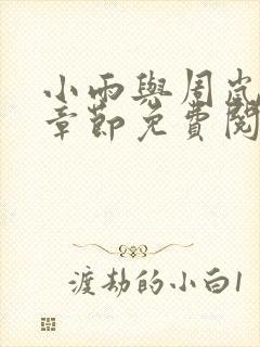 小雨与周岚全部章节免费阅读