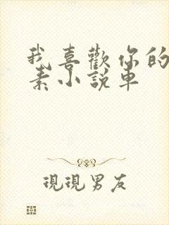 我喜欢你的信息素小说车