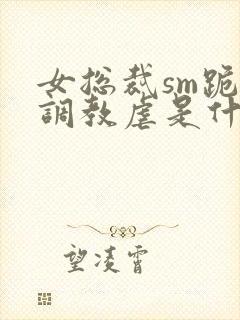 女总裁sm跪爬调教虐是什么封面