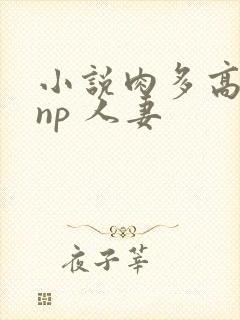 小说肉多高h np 人妻