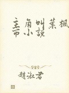 主角叫叶枫的都市小说封面