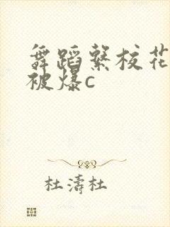 舞蹈系校花婉莹被爆c封面