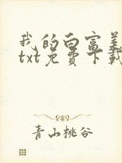 我的白富美老婆txt免费下载