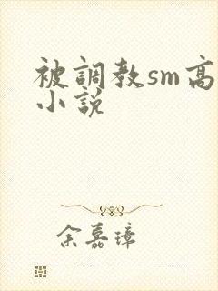 被调教sm高h小说封面
