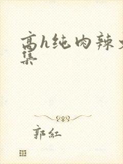 高h纯肉辣文合集
