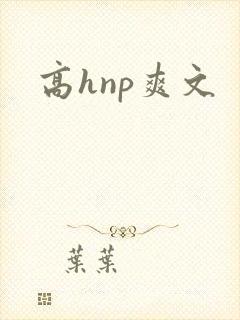 高hnp爽文