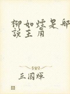 柳如烟是哪部小说主角